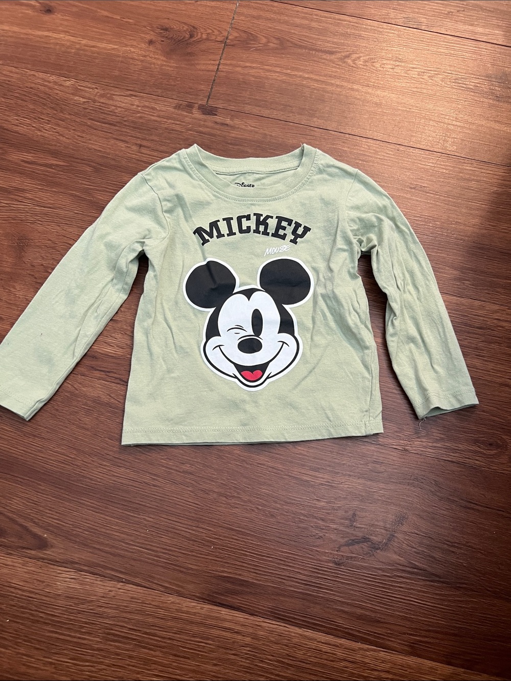 Disney Mickey Mouse Sage Green Long Sleeve Tee